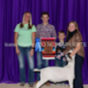 Meet your Posher, Bailey